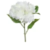 Hortensie 31 cm