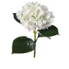 Hortensie 67 cm