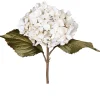 Hortensie 45 cm