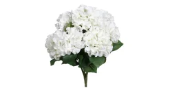 Hortensien-Busch 80 cm