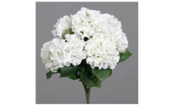 Hortensien-Busch 80 cm