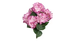 Hortensien-Busch 80 cm