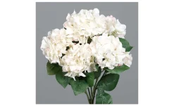 Hortensien-Busch 80 cm