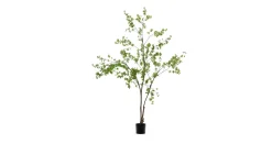 Kunstbaum Enkianthus