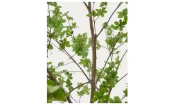 Kunstbaum Enkianthus