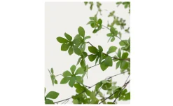 Kunstbaum Enkianthus