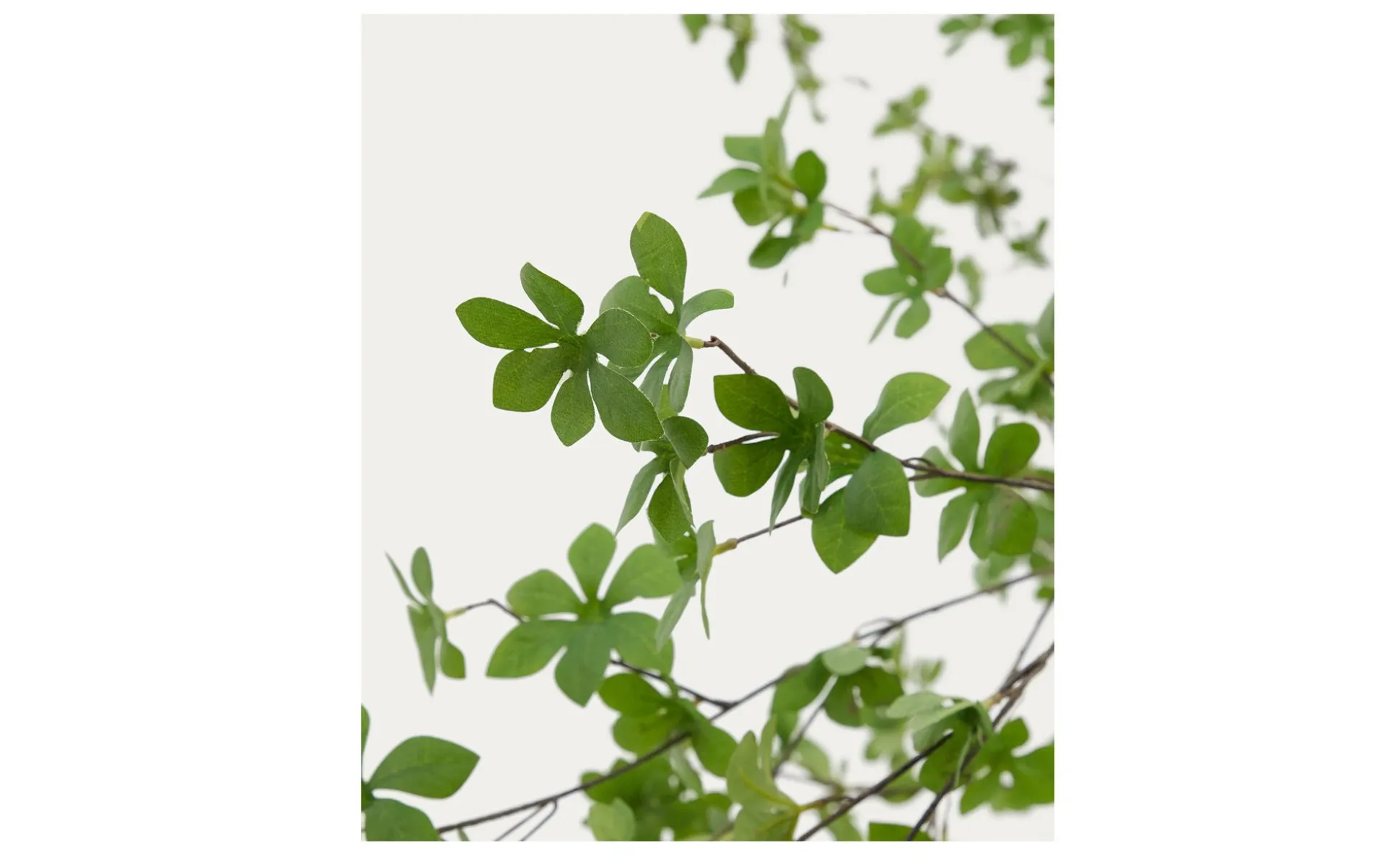 Kunstbaum Enkianthus