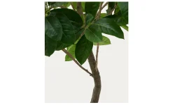 Kunstbaum Ficus