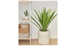 Kunstpflanze Yucca