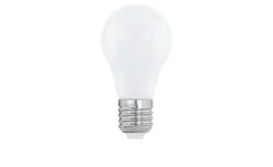 LED-Leuchtmittel 110037 E27