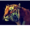 Leinwandbild Colourful Tiger 90 x 120 cm