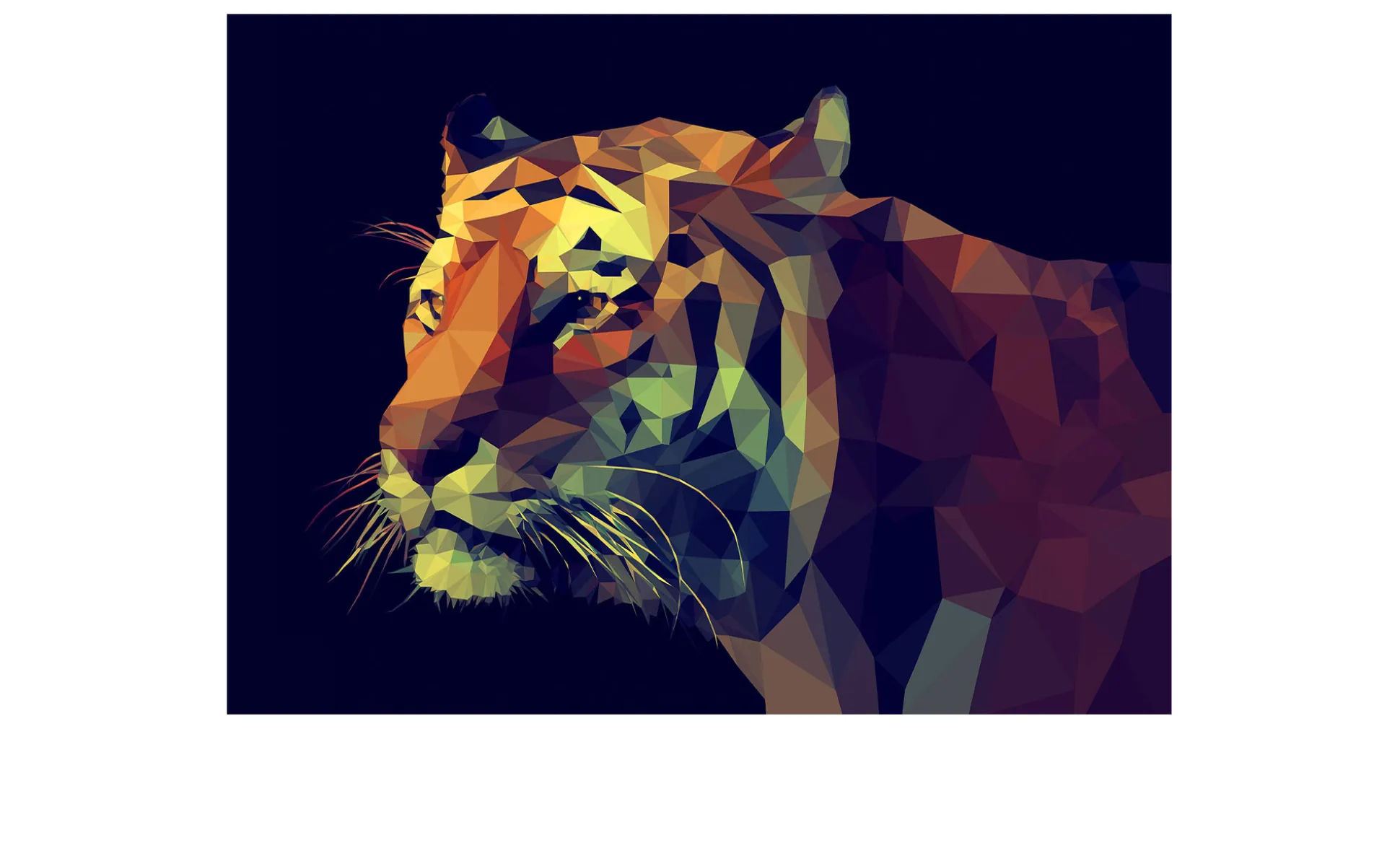 Leinwandbild Colourful Tiger 90 x 120 cm
