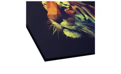 Leinwandbild Colourful Tiger 90 x 120 cm