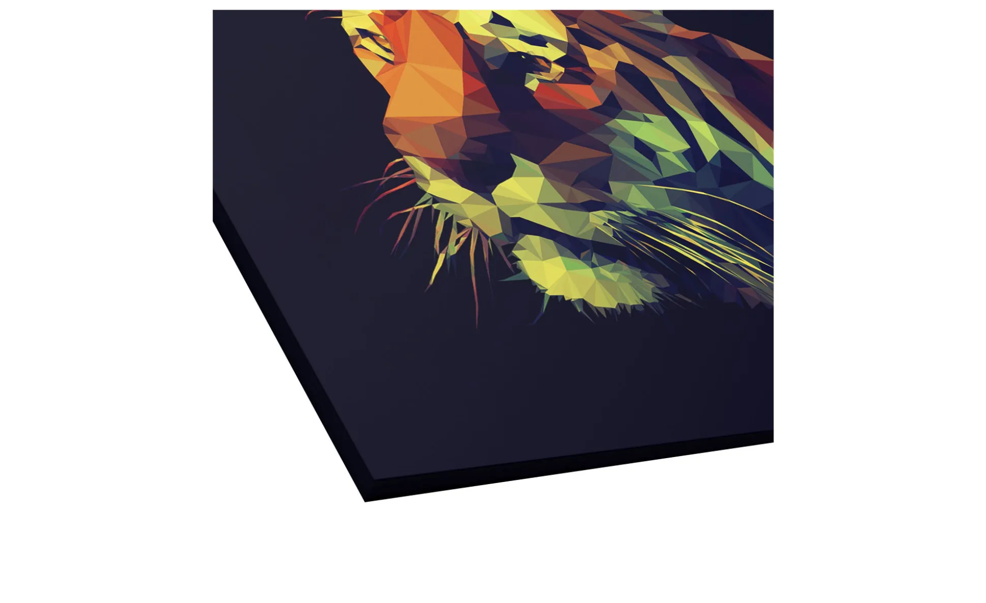 Leinwandbild Colourful Tiger 90 x 120 cm
