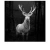 Leinwandbild Grey Deer Head 30 x 30 cm