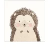 Leinwandbild Little Hedgehog 30 x 30 cm