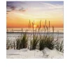 Leinwandbild Lonely Dune 30 x 30 cm