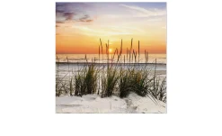 Leinwandbild Lonely Dune 30 x 30 cm