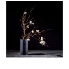 Leinwandbild New Baroque Still Life IV 40 x 40 cm