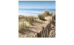Leinwandbild Ostsee 30 x 30 cm