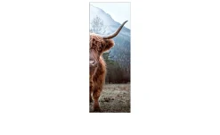Leinwandbild Scottish Highland Cattle 30 x 80 cm