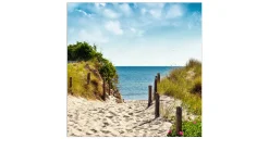 Leinwandbild Summer Breeze I 40 x 40 cm