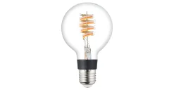 Leuchtmittel 110273 E27