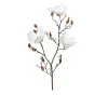 Magnolie 87 cm