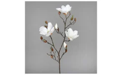 Magnolie 87 cm