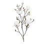Magnolie 110 cm