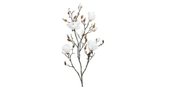 Magnolie 110 cm