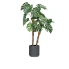 Monstera 110 cm