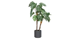 Monstera 110 cm