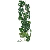 Monstera Ranke 115 cm