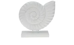 Muschel 16 cm