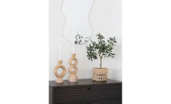 Olivenbaum Nilla