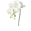 Orchidee 78 cm