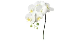 Orchidee 78 cm