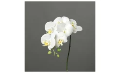 Orchidee 78 cm