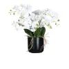 Orchideen-Arrangement 100 cm