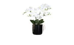 Orchideen-Arrangement 70 cm