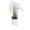 Orchideen-Arrangement 134cm