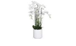Orchideen-Arrangement 134cm