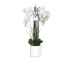 Orchideen-Arrangement 100 cm