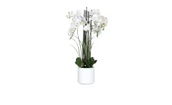 Orchideen-Arrangement 100 cm