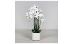 Orchideen-Arrangement 120 cm