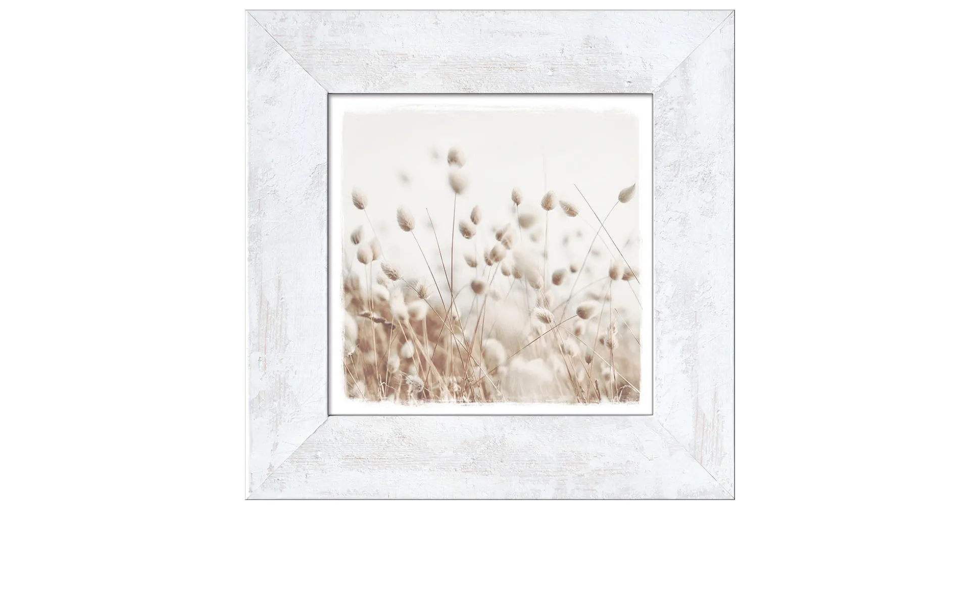 Rahmenbild Dried Fiber in the Wind 44 x 44 cm