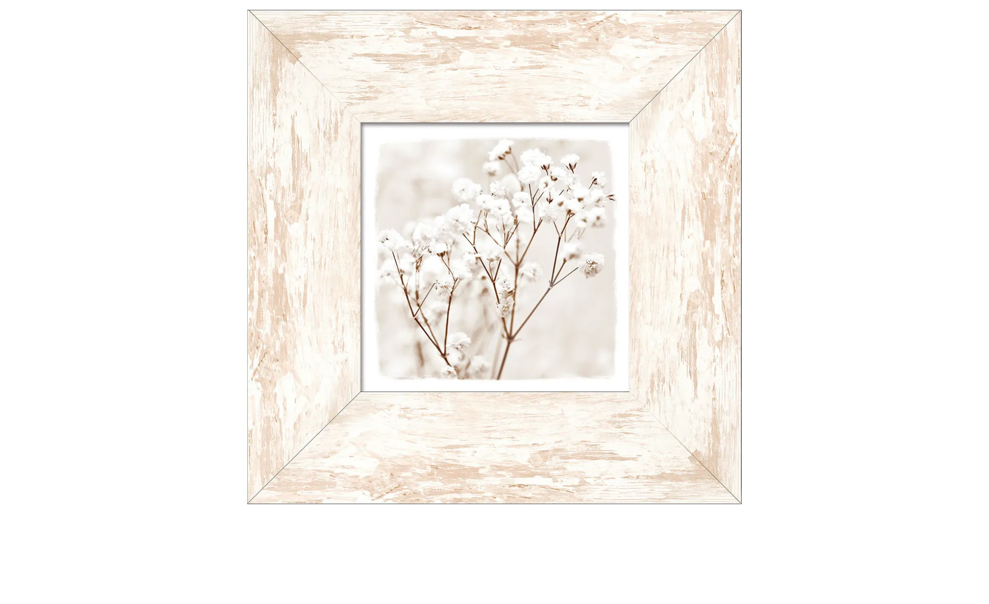 Rahmenbild Dried Fiber in the Wind 34 x 34 cm