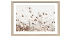 Rahmenbild Dried Fiber in the Wind 55 x 75 cm