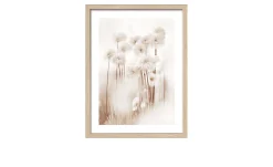 Rahmenbild Dried Fiber 33 x 43 cm